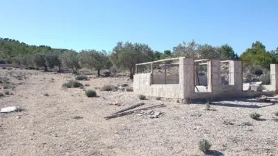 Rustic farm in Caudete photo 5